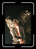 firebirds 012 * 2336 x 3504 * (5.65MB)